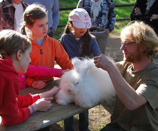 Tierpark Hebelei